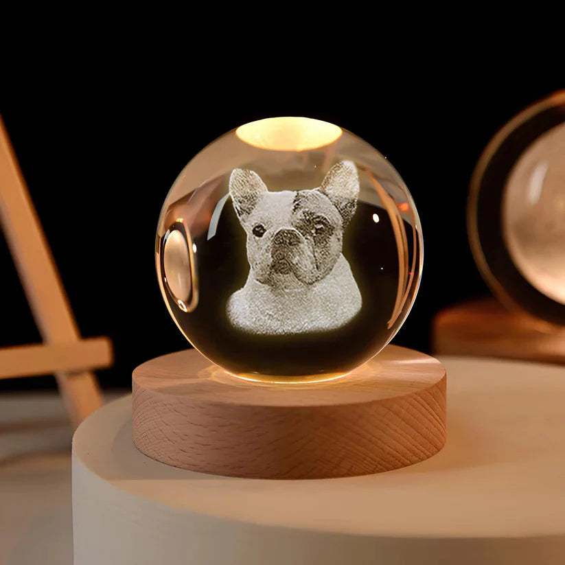 50%OFF ⭐️Custom 3D Pet Photo Crystal Ball