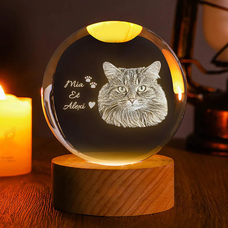 50%OFF ⭐️Custom 3D Pet Photo Crystal Ball