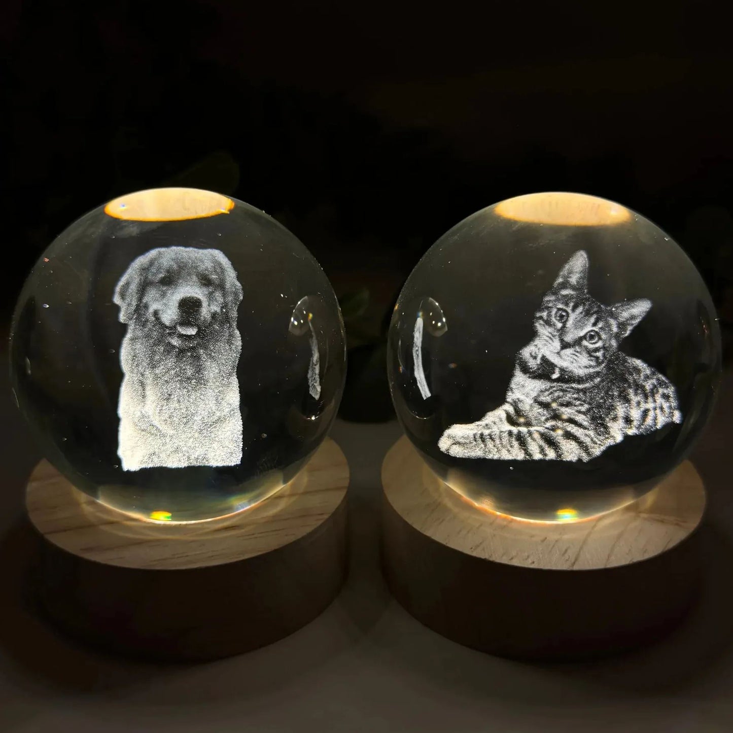 50%OFF ⭐️Custom 3D Pet Photo Crystal Ball