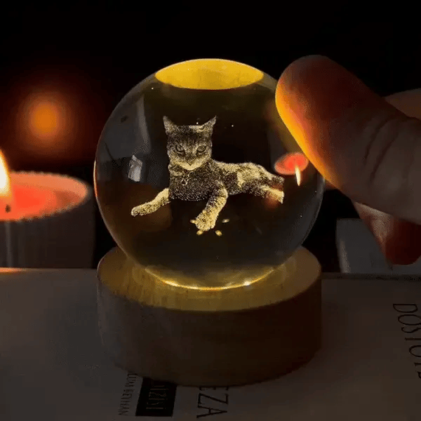 50%OFF ⭐️Custom 3D Pet Photo Crystal Ball