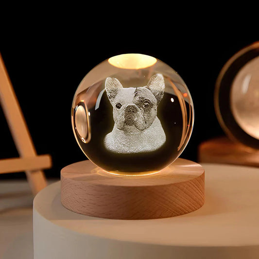 50%OFF ⭐️Custom 3D Pet Photo Crystal Ball