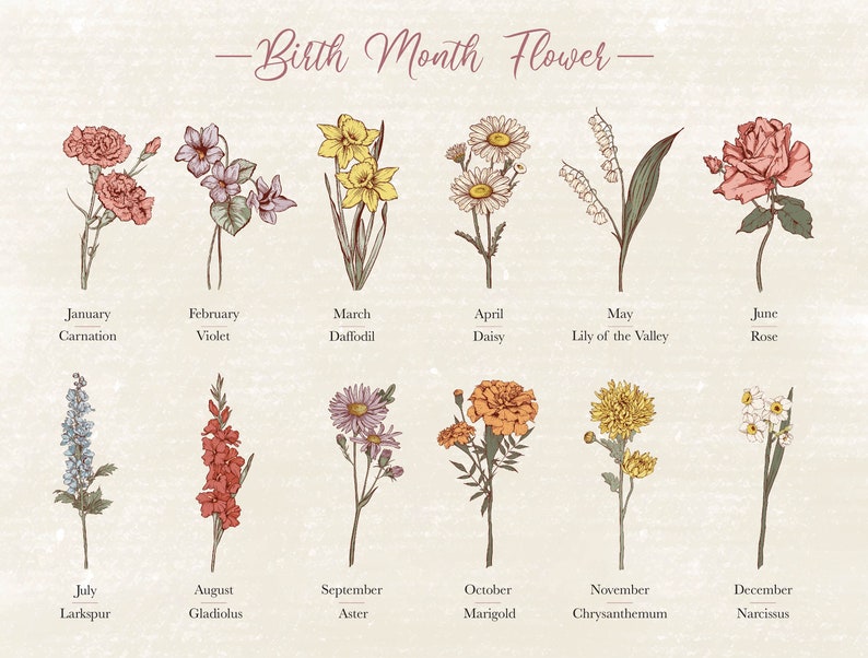 Choose the Number of Birth Flowers
